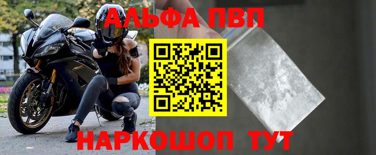 Альфа ПВП СК КРИС Геленджик
