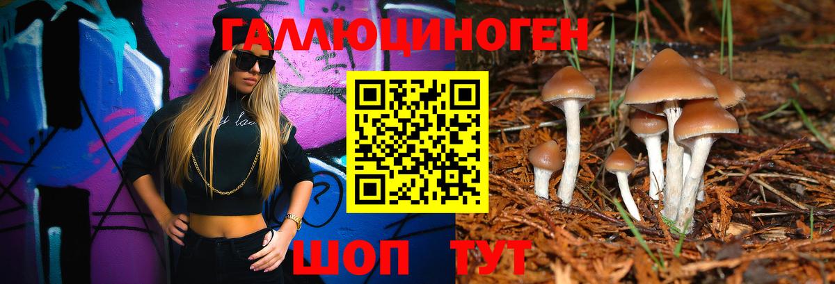 Галлюциногенные грибы мухоморы Геленджик