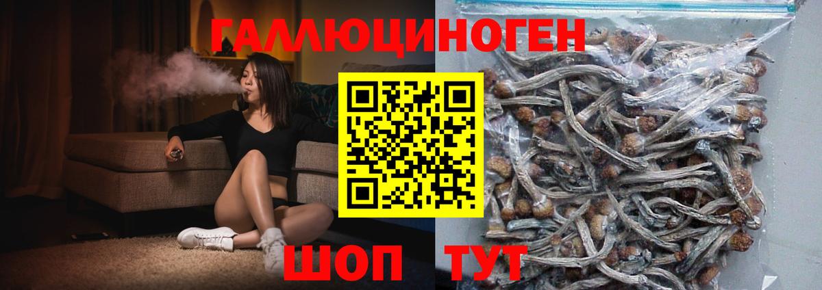 Псилоцибиновые грибы мухоморы  Вход с VPN  Геленджик 